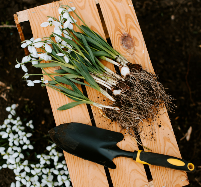 Garden Solutions
