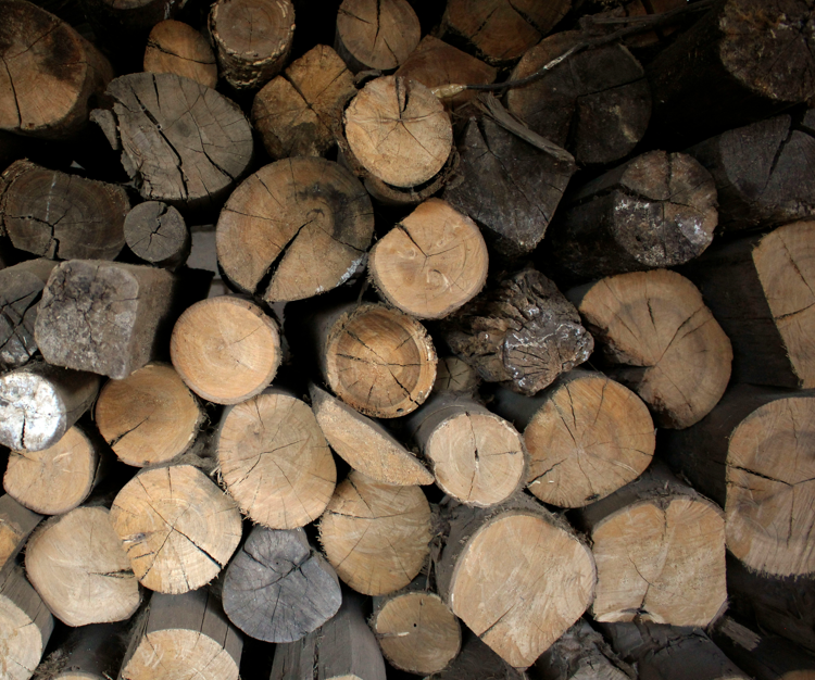 Woodworking & Forestry