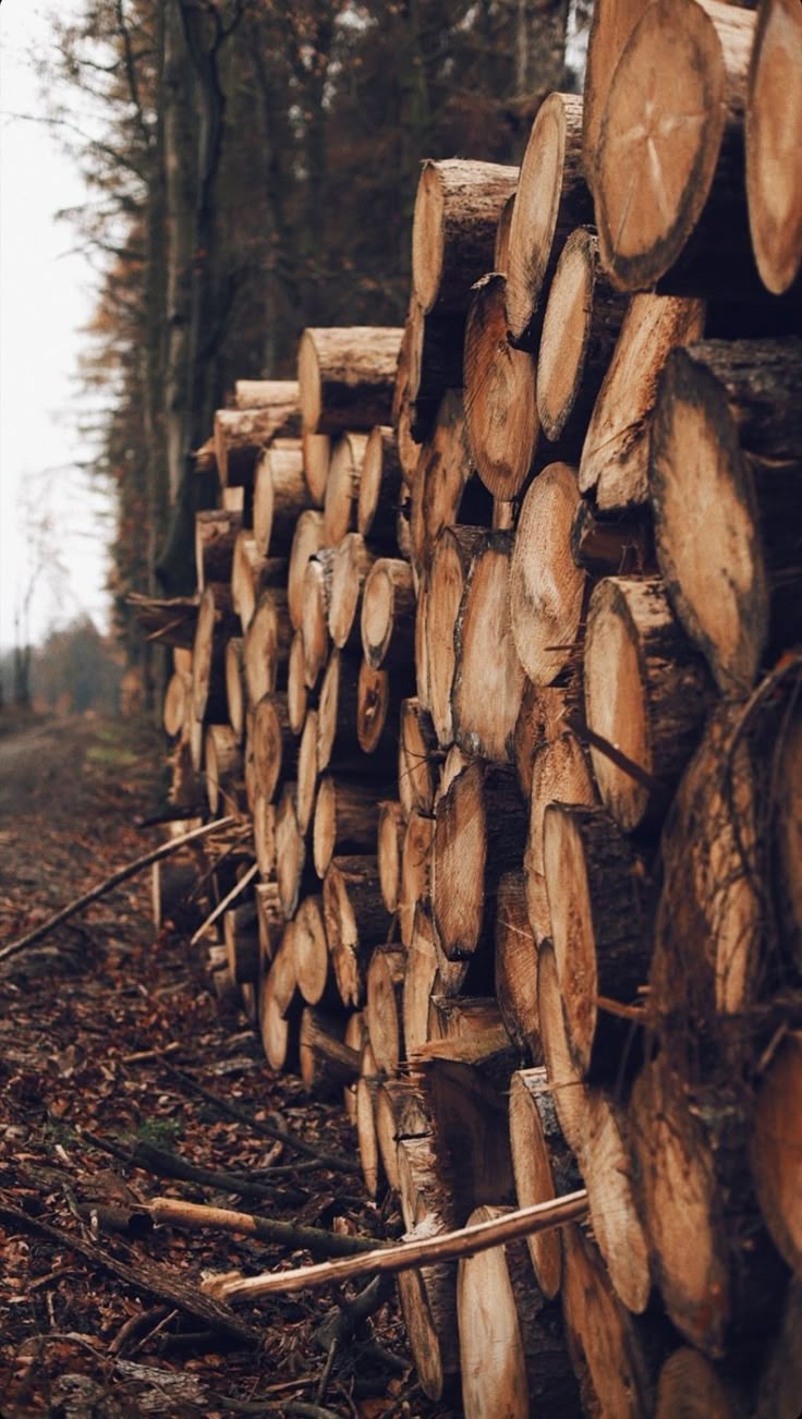 Woodworking & Forestry Woodworking & Forestry
