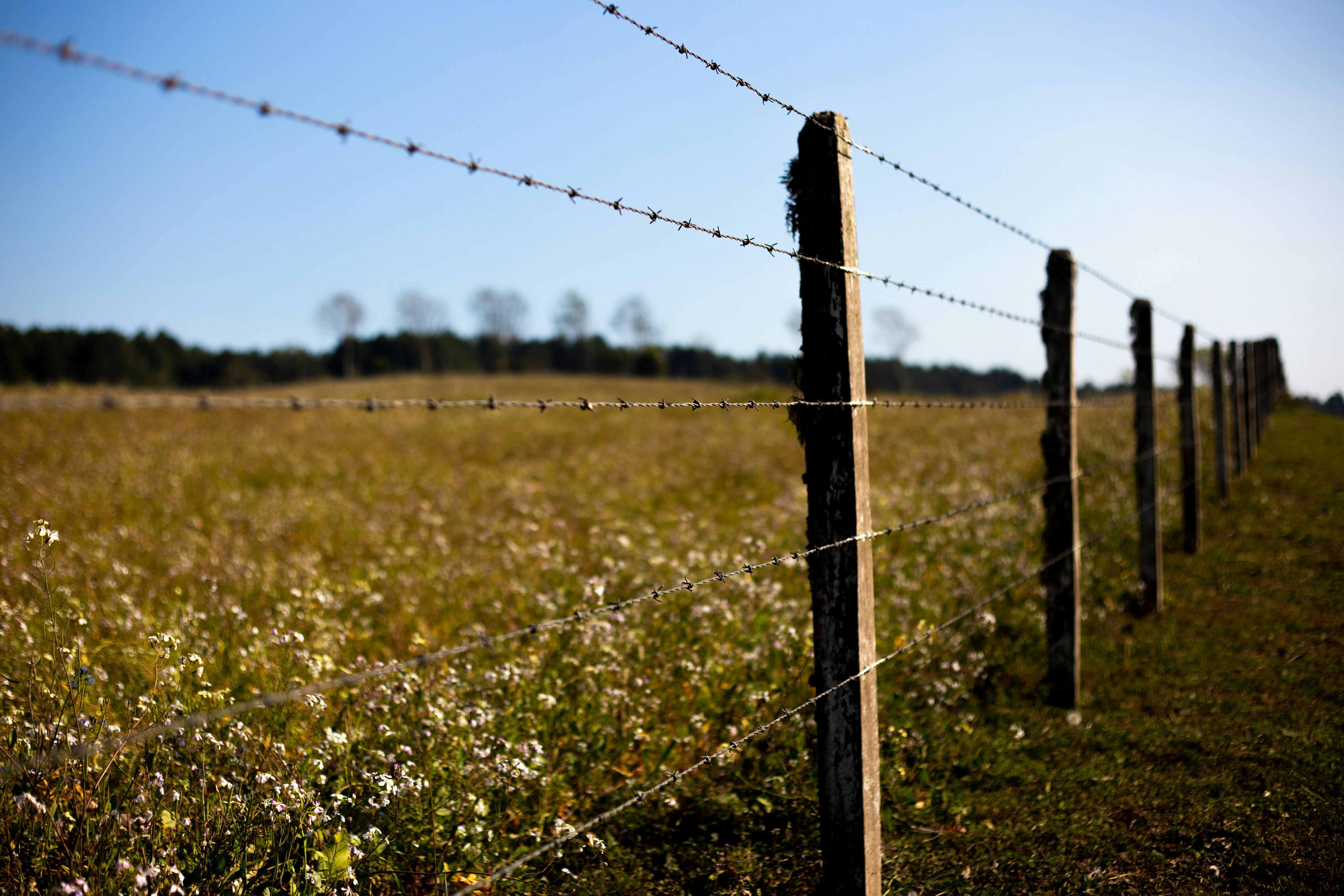 Barbed Wires Barbed Wires