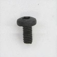 M4 x 8mm Pan Head T-20 Screw