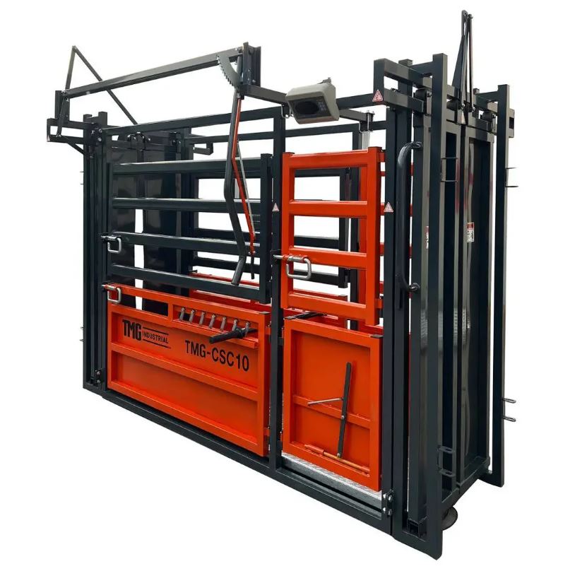 10’ Cattle Work Chute 4500-lb Weight Scale