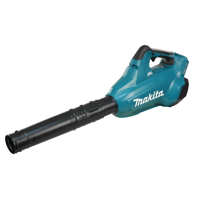 Cordless 36 Volt (18V X 2) Blower