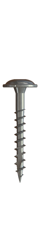 CAP SCREW 10 X 2-1/2" (1000PCS) STAINLESS STEEL
