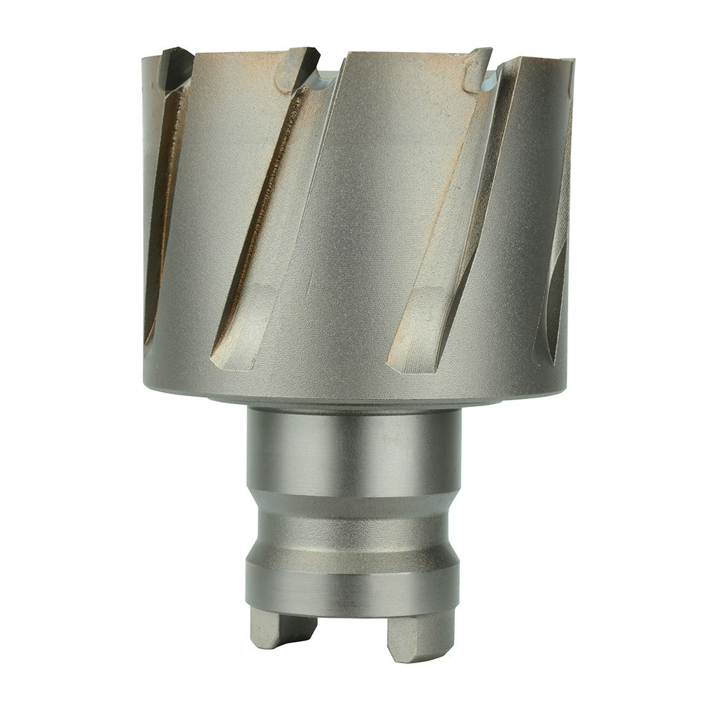 1-3/8 in. Quick Change Tang Drive Steel Hawg Cutter
