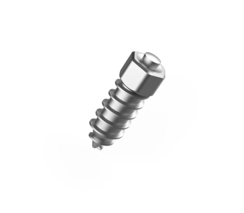 For Rubber Track (100 pcs)